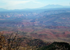 photo thumbnail #11
