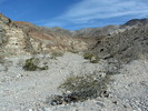 photo thumbnail #1