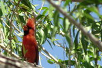 photo thumbnail #8