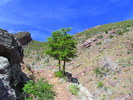 photo thumbnail #4