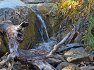 photo thumbnail #10