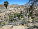 photo thumbnail #8