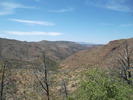 photo thumbnail #5