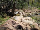 photo thumbnail #9