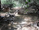 photo thumbnail #11