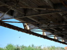 photo thumbnail #12