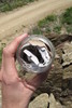 photo thumbnail #7