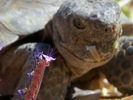 photo thumbnail #15