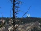photo thumbnail #12