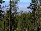 photo thumbnail #4