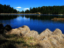 photo thumbnail #6