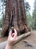 photo thumbnail #7