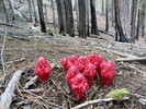 photo thumbnail #8