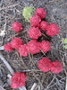 photo thumbnail #9