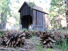 photo thumbnail #5