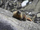 photo thumbnail #4