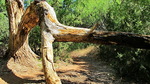 photo thumbnail #2