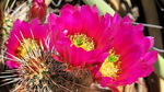 photo thumbnail #9