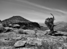 photo thumbnail #13