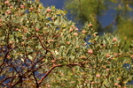 photo thumbnail #5