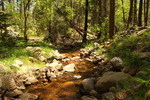 photo thumbnail #8