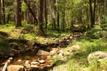 photo thumbnail #10