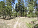 photo thumbnail #7