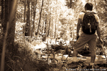 photo thumbnail #13