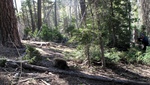 photo thumbnail #1