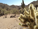photo thumbnail #4