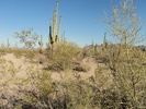 photo thumbnail #6