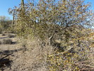 photo thumbnail #9