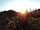 photo thumbnail #10