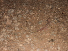 photo thumbnail #13