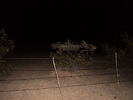 photo thumbnail #14