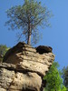 photo thumbnail #12