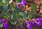 photo thumbnail #7