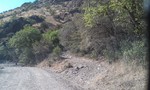 photo thumbnail #1