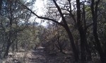 photo thumbnail #8