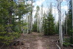 photo thumbnail #6