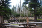 photo thumbnail #11
