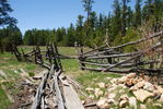 photo thumbnail #12