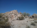 photo thumbnail #4