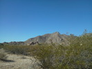 photo thumbnail #8