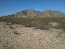 photo thumbnail #12