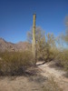photo thumbnail #13