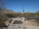 photo thumbnail #14