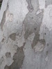 photo thumbnail #15