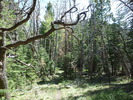 photo thumbnail #7