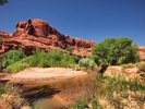 photo thumbnail #15